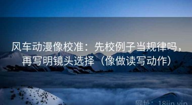 风车动漫像校准：先校例子当规律吗，再写明镜头选择（像做读写动作）